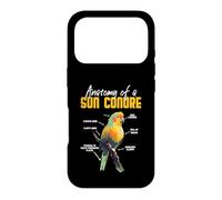 Anatomy of a Sun Conure - Funny Parrot Design Case for iPhone 17 Pro
