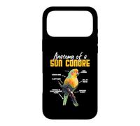 Anatomy of a Sun Conure - Funny Parrot Design Case for iPhone 17 Pro Max