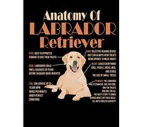 Anatomy of Labrador Retriever: Blank Lined Journal Notebook, 108 Pages, Soft Matte Cover, 8.5 x 11