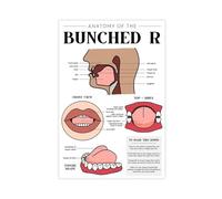 Anatomy of The Bunched R Speech Sound Canvas Poster Bedroom Decor Landscape Office Room Decor Gift 20x30inch(50x75cm)