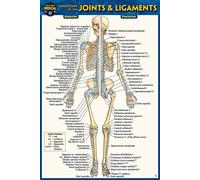 Anatomy of the Joints & Ligaments