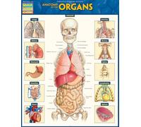 Anatomy of the Organs: QuickStudy Laminated Reference Guide (Quick Study Academic)