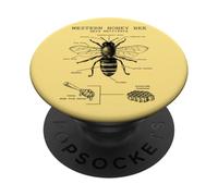 Anatomy of The Western Honeybee | Insect Biology Diagram PopSockets Adhesive PopGrip