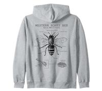 Anatomy of The Western Honeybee | Insect Biology Diagram Zip Hoodie