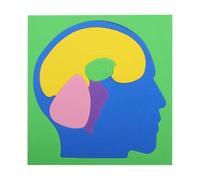 Anatomy Puzzle - EVA Kit for Brain Science Experiments, DIY Human Body Model Puzzle, Educational Game for School Home Kindergarten Travel and Bedroom