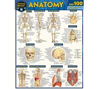 Anatomy Quizzer: A Quickstudy Laminated Reference Guide