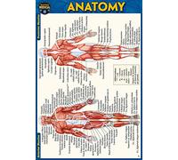 Anatomy Reference Guide