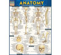Anatomy - Reference Guide: a QuickStudy reference tool (Quick Study: Quizzer) (Quickstudy Academic)
