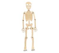 Anatomy Skeleton Model For Study,30 Cm Assembly - Skeleton Figure,Body Structure Figure for Children Students Veterinary Education Halloween Decoration Desk