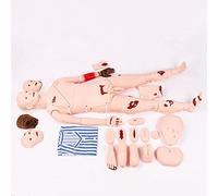 Anatomy Skeleton Models Nursing Model 24 Basic Nursing s Male Nursing Training Model, Multifunctional PVC Nursing Manikin Patient Care Simulator 170cm For Education