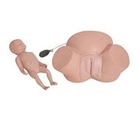 Anatomy Study Tools, Human Anatomy Model with Abnormal Labor Scenarios, Anatomical Models for Physiology Study, Figure Model Demonstrates Dystocia Training