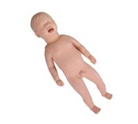 Anatomy Study Tools Human Body Model, Newborn Growth Care Simulator for Anatomy and Physiology Study, Figure Model with Realistic Anatomia Humana Details for Educational Use