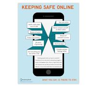 Anatomy Stuff Keeping Safe Online Poster/Chart 18x24 inches. 45 x 60 cm, Online Safety, PSHE Teacher Education Resources, Curriculum Classroom Poster, PSHE Learning Tool, Secondary School