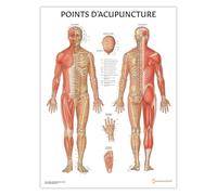 Anatomy Stuff Points D’Acupuncture Poster, FRENCH, 45 x 60 cm, 18 x 24 inches, Acupuncture Points Diagram