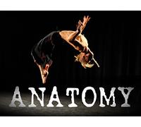 Anatomy, The Complete Series 1 to 4
