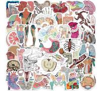 Anatomy Vinyl Stickers,Human Body Organ Graffiti Stickers,Vinyl Waterproof Sticker for Kids Teens Girls,for Phone Laptop Bottles Skateboard Computer Phone Luggage Guitar Gifts Sticker