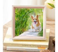 ANAZOZ Picture Frames 6x6 inch for Desk Vertical and Horizontal,Square Pink White Frame Picture
