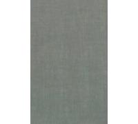 染の安坊 Anbo Plain Tenugui Hand Towel, Solid Color (Light Green Gray), 100% Cotton, Made in Japan, 13.8 x 39.4 inches