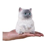 Anboor Big Cat Squishies Toy - Soft Siamese Cat Squeeze Stress Relief Toys for Kids & Adults, Cute Realistic Sensory Fidget Toy (4.9Inch)