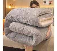 ANBTUKJ Winter duvet - thick lamb wool duvet, extra thick and fast warm cashmere fabric, for autumn and winter, double bed in winter, Light grey-150X200cm(3.5kg)