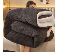 ANBTUKJ Winter duvet - thick lamb wool duvet, extra thick and fast warm cashmere fabric, for autumn and winter, double bed in winter, Dark grey-200x230cm(5kg)