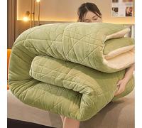 ANBTUKJ Winter duvet - thick lamb wool duvet, extra thick and fast warm cashmere fabric, for autumn and winter, double bed in winter, Apple green-200x230cm(3kg)