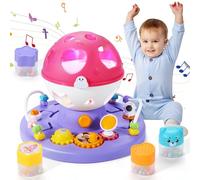 Anby families Baby Toys 12 18 Months,Baby Light Up Toys with Music,Montessori Toys Sensory Shape Sorter,Toys for 1 Year Old Girls Early Learning Toys Christmas Birthday Gifts