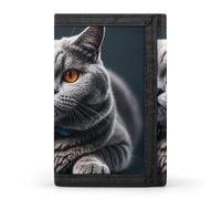 Anceky A Gray Cat is Lying Trifold Wallet for Men - Slim 8 Card Slots, Zipper Coin Purse Money Clip,Compartment