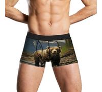 Anceky Brown Bear Men's Underwear Breathable Moisture-Wicking Boxer Brief Lightweight Underwear for Men