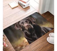 Anceky Front Door Mat Outdoor Indoor Welcome Mats 24" x 16" Non Slip Floor Mat Labrador Retriever Doormat for Entryway Rug Front Porch Laundry Bathroom Bedroom Rug Entryway Carpet