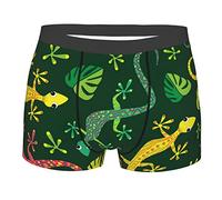 Anceky Mens Underwear Boxer Briefs Pouch Trunk Boxer Shorts, Colorful Lizard Gecko Native