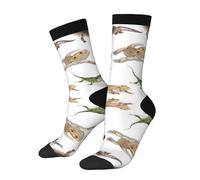 Anceky Multi Colored Staring Leopard Gecko Family Image Primitive Reptiles Wildlife Art Novelty Crew Socks for Men & Women