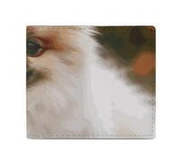 Anceky Wallet Card Case Coin Purse Mens Short-haired Pomeranian Dog Printed Wallet for Everyday Use and Fits in Any Pocket with Ease