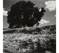 Ancestors - Invisible White [VINYL]