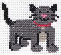 Anchor 1st Kit First Cross Stitch, Long Stitch, Tapestry - Children First Sewing Learner Fabric Kit - Simply Sew Crafty™ (Poppy - Cross Stitch)