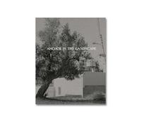 Anchor in the Landscape