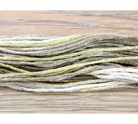 Anchor Multi Colour Embroidery Thread (Value Pack) - per pack of 12