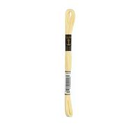Anchor Six Strand Embroidery Floss 8.75 Yards-Citrus Light 12 per Box