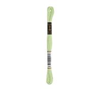 Anchor Six Strand Embroidery Floss 8.75 Yards-Grass Green Very Light 12 per Box
