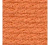 Anchor Tapestry Wool 10mt 8308