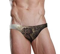 Ancient Age Danger Animal Dinosaur Men Swimwear Bikini Swim Brief Board Shorts Surf Boxer