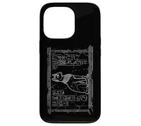 Ancient Egypt Bastet Cat Goddess Hieroglyphic Wall Art Case for iPhone 13 Pro