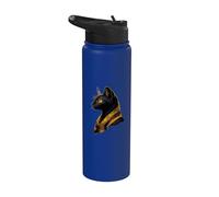 Ancient Egypt Bastet Egyptian God Cat Egyptology Tutankhamun Stainless Steel Insulated Water Bottle