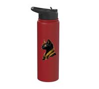 Ancient Egypt Bastet Egyptian God Cat Egyptology Tutankhamun Stainless Steel Insulated Water Bottle