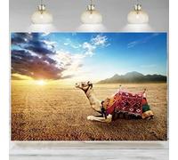 Ancient Egyptian Camel Backdrop Western Desert Egypt Banner Blue Sky White Clouds Photography Background Party Decor Photo 300x200cm