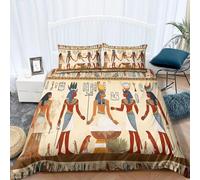 Ancient Egyptian Culture Single Duvet Cover Set Egyptian Patterns Bedding Soft Microfiber Duvet Cover Single 135 x 200 cm 3D Quilt Cover with Zipper Closure and 2 Pillowcases b.11