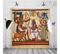 Ancient Egyptian Photography Backdrop Egyptian King and Queen Archery Hieroglyphic Egyptian Papyrus Culture Background 240x180cm