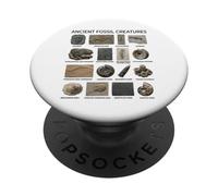 Ancient Fossil Creatures Chart - Prehistoric Life PopSockets Adhesive PopGrip