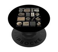 Ancient Fossil Creatures Chart - Prehistoric Life PopSockets Adhesive PopGrip