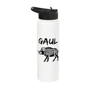 Ancient Gaul Boar Symbol Gallic History Stainless Steel Insulated Water Bottle